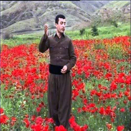 کمال قادری نازار و نازنین